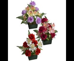 pure royal rose/cybidium arrangement in rectangular pot assorted