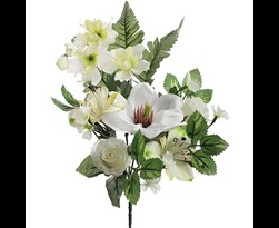 pure royal small magnolia delphinium bush x6 cream
