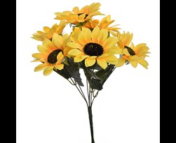 pure royal sunflower x7 bush yellow