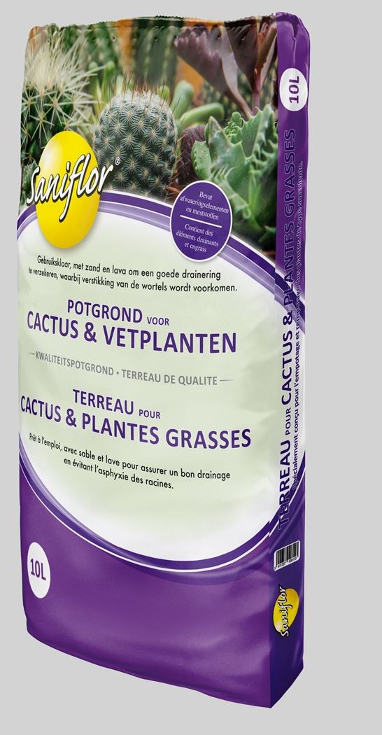 saniflor cactus en vetplanten potgrond - Tuincentrum Pelckmans