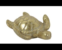 schildpad luuk s goud