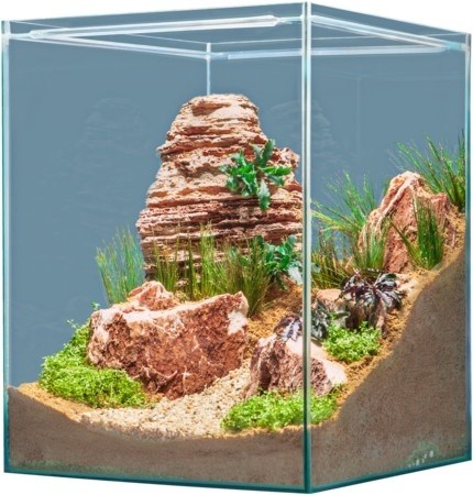 sera hardscape desert - voor 80 ltr. - Tuincentrum Pelckmans