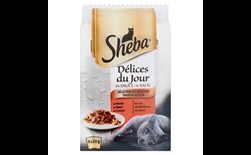 sheba delice pouch 6-pack du jour traiteur sel