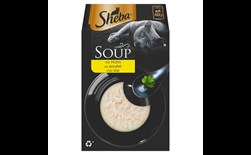 sheba soup kip mp
