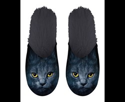 slipper black cat eyes