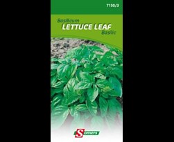 somers basilicum lettuce leafe