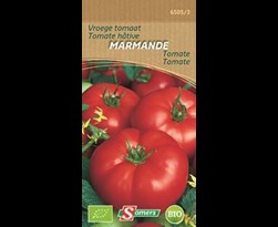 somers be-bio-02 tomaat marmande