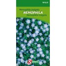 somers-nemophile-insignis-blauw