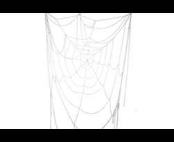 spinnenweb wit