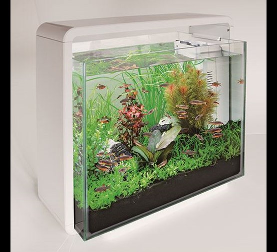 aquarium 40 - Tuincentrum Pelckmans