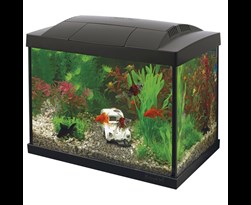 superfish aquarium start 20 goldfish kit zwart