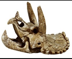 superfish skull triceratops m