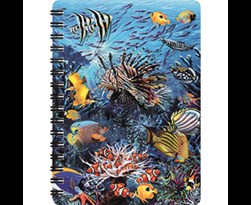 tfy livelife notitieboekjes klein -  wonders of the reef
