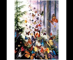 tfy livelife posters -  butterfly woods