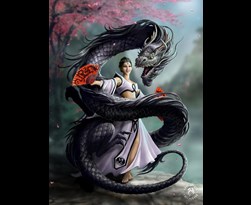 tfy the anne stokes collection 3d - dragon dancer