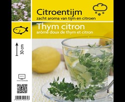 thymus citriodorus (citroentijm)