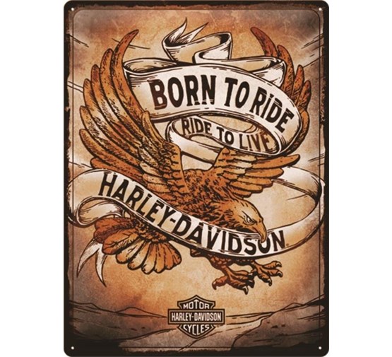 Tin-Sign-Harley-Davidson-Born-to-Ride-Eagle