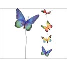 tuinprikker-vlinder-6ass-
