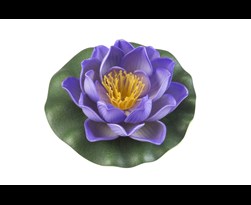 velda lotus foam purple