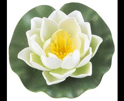 velda lotus foam white