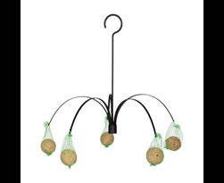 Een Ronde Fixable Vogel Opknoping Feeder Vet Bal W... - Grandado Een Ronde Fixable Vogel Opknoping Feeder Vet Bal W... - Grandado