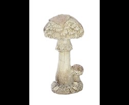 winter mushroom white